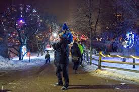 Lincoln Park Zoo Announces 25th Annual Zoolights Events And