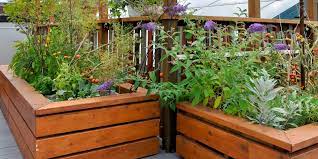 Plant Combo Designs For Raised Beds