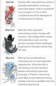 Black Koi Swimming Downward Around The Beauty And The Beast