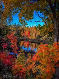 Michigan Fall Color Update This Is The Weekend To Head
