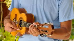Gastos de los establecimientos de fábricas de instrumentos musicales. Los Instrumentos Musicales Tipicos De Brasil