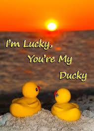 Enjoy reading and share 13 famous quotes about rubber duck with everyone. I M Lucky You Re My Ducky By John Hartung Ducky Rubber Duck Rubber Ducky