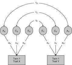 multivariate genetic model for trait x
