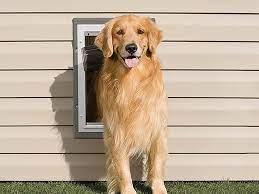 The Best Dog Door Options For The Home