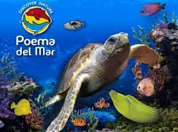 aquarium poema del mar