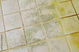 bathroom tile floor horizontal image