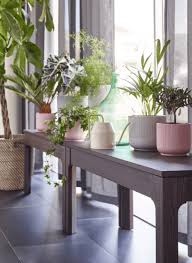 15 Under 20 Ikea Finds Every Plant