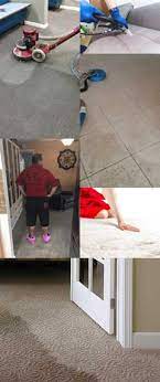 carpet cleaning palm bay fl carpet