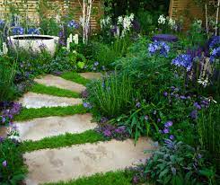 Garden Path Fillers Plants For S