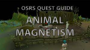 Big chompy bird hunting/quick guide; Oldschool Runescape Osrs Animal Magnetism Quest Food4rs