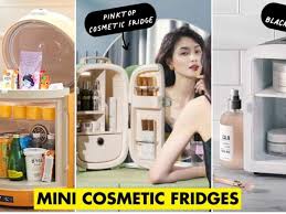 aesthetic mini fridges you can use for