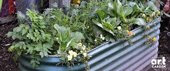 Produce Gardening In Small Spaces