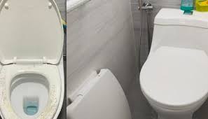Install Toilet Seat Cover In Ang Mo Kio