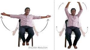 easy chair exercises for seniors