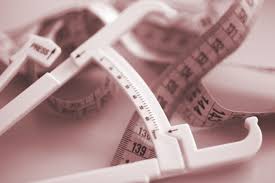 body fat percene calculator check