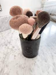 makeup brushes for every day makeup
