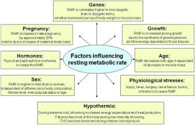 Monosaccharides are transferred to cells for aerobic and anaerobic respiration via glycolysis, citric. Carbohydrate And Fat Utilization During Rest And Physical Activity European E Journal Of Clinical Nutrition And Metabolism