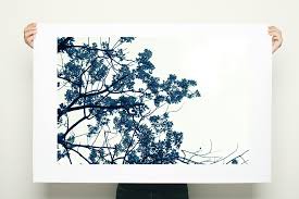 Large Canvas Art 60x40 Oak Tree Print