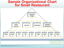 Managing Organizational Structure And Culture Mcgraw Hill
