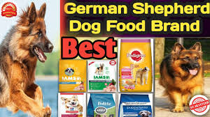 german shepherd best dog food brand