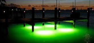 Green Monster Fishing Lights 100 Cord 3487 Boat Lift Warehouse