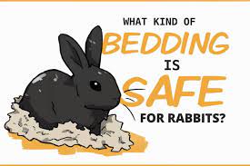Bedding For Rabbits Is It Even Necessary