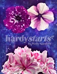 2019 Hardystarts By Welby Gardens Catalog