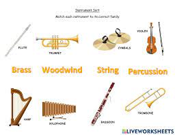 instrument sort worksheet