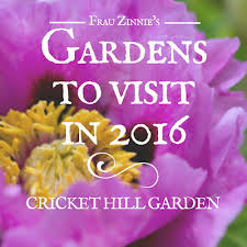 Peonies Promise To Dazzle At Cricket