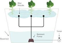 What are the disadvantages of aeroponics?