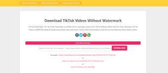 Looking to save your favorite tiktok videos for offline use? Best Tiktok Video Downloader Online With Without Watermark