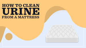how to clean urine out of a mattress