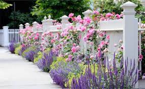 The Fence Line Fence Landscaping Ideas