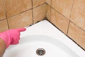 How To Prevent Bathroom Mold The Bath