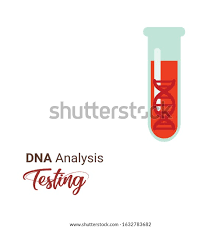Ebooks download pdf student exploration dna fingerprint analysis gizmo answers created date: Dna Profiling Lab