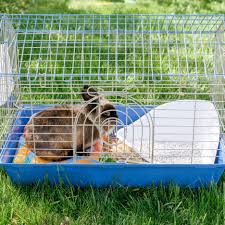 how to clean a rabbit cage