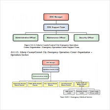 Sample Hospital Organizational Chart 9 Documents In Pdf