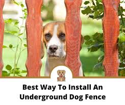 How to install an underground dog fence. Best Way To Install An Underground Dog Fence