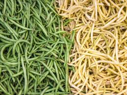 grow green beans from seed dengarden
