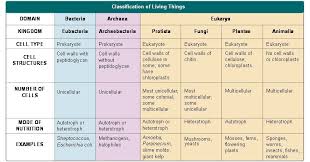 8 Chart Image Biology Kingdom Classification Chart Www