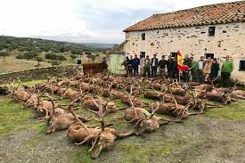 Montería Jorge I, una de las fincas más bonitas de Sierra Morena | Trofeo caza