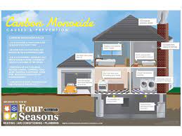 carbon monoxide causes prevention