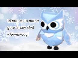 16 names to name your snow owl in adopt