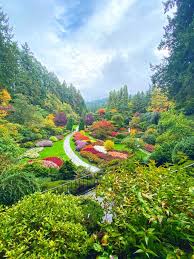 the butchart gardens in fall the most