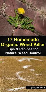 17 homemade organic weed tips