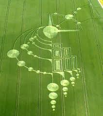 The Crop Circle Phenomena  (What the New Age is Saying…. Wake up Church!) Images?q=tbn:ANd9GcSHWuQKn_AnpD-VaxFImRid4Vh_g95FEVsD9ZW05k9XaAzuXtVL
