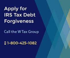 To file your state taxes you must pay an additional fee. 2020 Guide To The Irs Tax Debt Forgiveness Program Forget Tax Debt