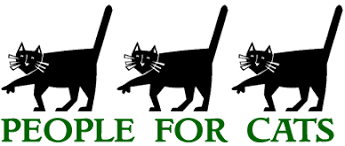 We make a lifetime commitment to every cat that comes through our doors. People For Cats Falmouth Ma