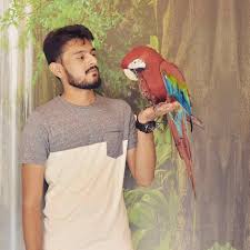 top pet s for macaw parrot in pune
