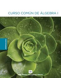 Common Core Algebra I Workbook